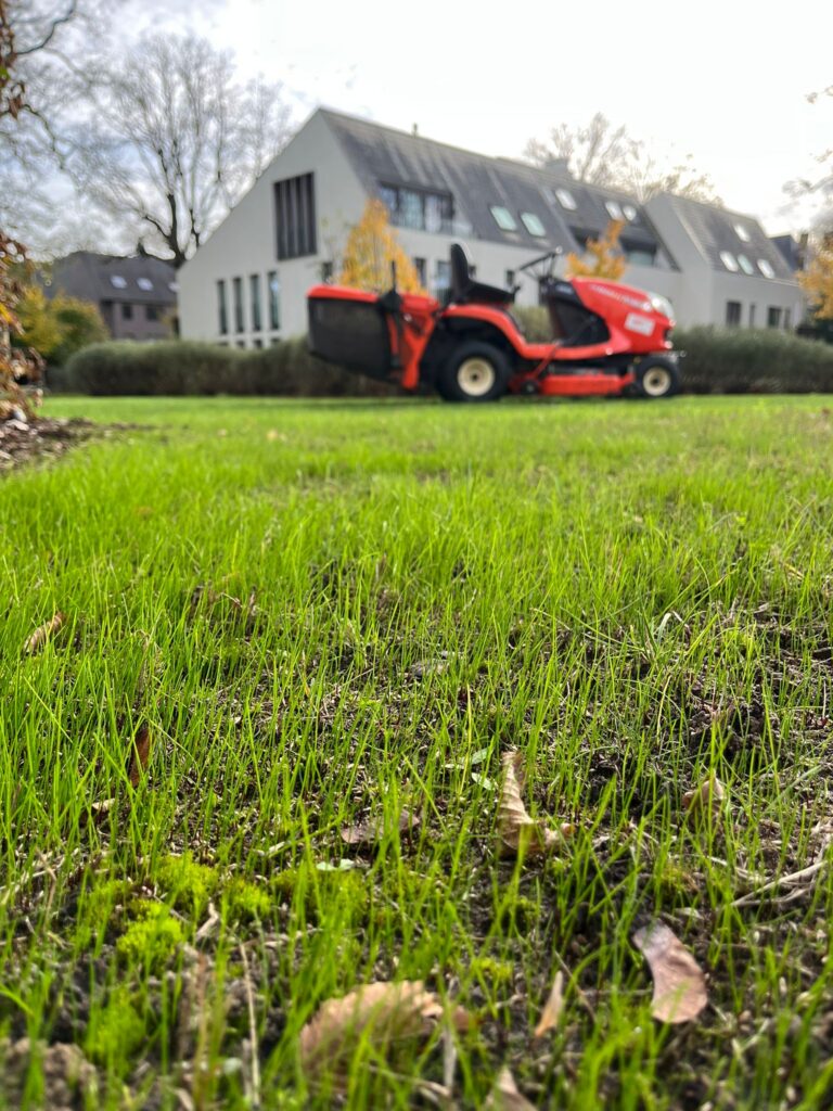 Tuinwerken De Praeter 7